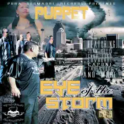 Chapter Nine Eye of the Storm by Puppet album reviews, ratings, credits