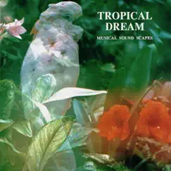 Tropical Dream (Musical Soundscapes) by Jonas Kvarnström & Stefan Schramm album reviews, ratings, credits