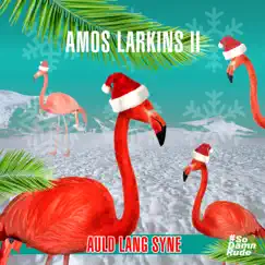 Auld Lang Syne - Single by Amos Larkins II album reviews, ratings, credits