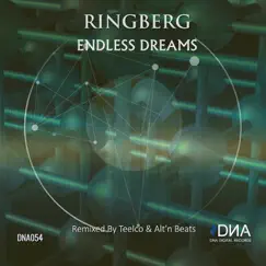 Endless Dreams Remixed by Teelco & Alt'n Beats - Single by Ringberg album reviews, ratings, credits
