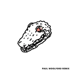 Hurricane (Paul Woolford Remix) - Single by Drones Club album reviews, ratings, credits