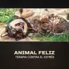 Animal Feliz - Terapia Contra el Estrés album lyrics, reviews, download