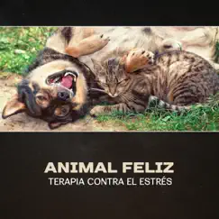 Animal Feliz - Terapia Contra el Estrés by Academia de Música para Reducir el Estrés album reviews, ratings, credits