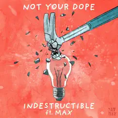 Indestructible (feat. MAX) Song Lyrics