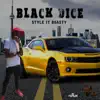 Style It Boasty - Single album lyrics, reviews, download