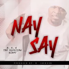 Nay Say - Single by DSG album reviews, ratings, credits