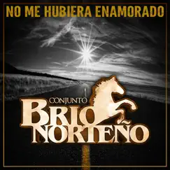 No Me Hubiera Enamorado - Single by Conjunto Brio Norteño album reviews, ratings, credits