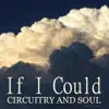 If I Could - Single album lyrics, reviews, download