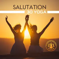 Salutation: 30 Yoga, Energy Flow, Zen Power, Spiritual Meditation, Strength and Harmony by Namaste Healing Yoga album reviews, ratings, credits