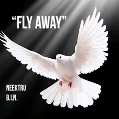 Fly Away (feat. Bin) - Single by NeekTru album reviews, ratings, credits