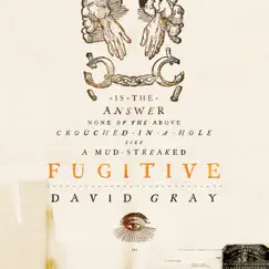 Fugitive - Single by David Gray album reviews, ratings, credits