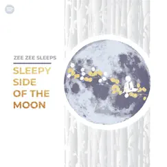 Sleepy Side of the Moon Song Lyrics