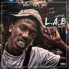 L.A.B album lyrics, reviews, download