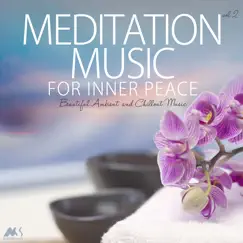 Meditation Music for Inner Peace, Vol.2 (Beautiful Ambient and Chillout Music) by Various Artists album reviews, ratings, credits