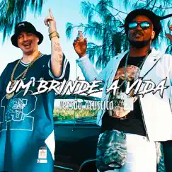 Um Brinde à Vida (feat. Cacife Clandestino) - Single by Afro-X album reviews, ratings, credits