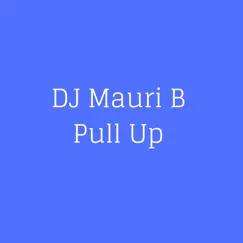 Pull Up - Single by DJ Mauri B album reviews, ratings, credits