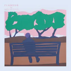 Flaneur by Verge Collection album reviews, ratings, credits