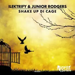 Shake Up Di Cage - Single by Junior Rodgers & Ilektrify album reviews, ratings, credits