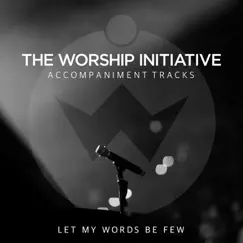 Let My Words Be Few (The Worship Initiative Accompaniment) - Single by Shane & Shane album reviews, ratings, credits