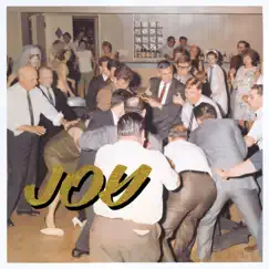 Joy as an Act of Resistance. by IDLES album reviews, ratings, credits