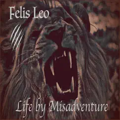 Life by Misadventure by Felis Leo album reviews, ratings, credits