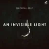 An Invisible Light - Single album lyrics, reviews, download
