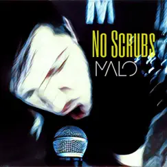 No Scrubs Song Lyrics