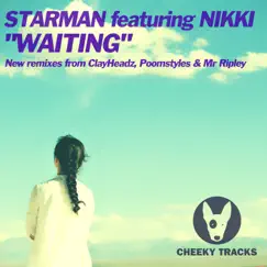 Waiting (ClayHeadz Radio Edit) [feat. Nikki] Song Lyrics