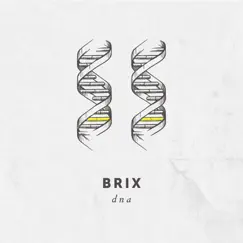 DNA - Single by Brix album reviews, ratings, credits