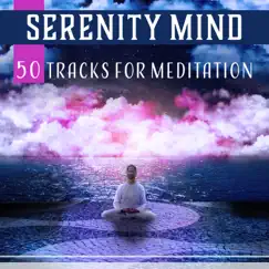 Serenity Mind – 50 Tracks for Meditation: Ultimate Relax, Yoga Benefits, Tranquil Thoughts, Calm Soul, Blissful & Fulfillment by Zen Relaxation Academy album reviews, ratings, credits
