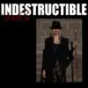 INDESTRUCTIBLE - Single album lyrics, reviews, download