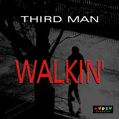Walkin' After Midnight - Single by Third Man album reviews, ratings, credits
