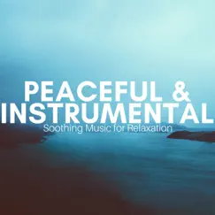 Peaceful & Instrumental: Soothing Music for Relaxation, Meditation, Spas, Calming Music for Panic and Stress by Lord Buddha album reviews, ratings, credits