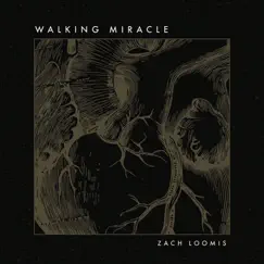 Walking Miracle (feat. Mike Donehey) Song Lyrics