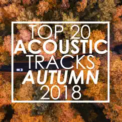 Top 20 Acoustic Tracks Autumn 2018 (Instrumental) by Guitar Tribute Players album reviews, ratings, credits