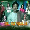 Dil Ka Raaja (Original Motion Picture Soundtrack) album lyrics, reviews, download