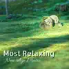 Most Relaxing New Age Music - 25 Tracks for Zen Meditation Experience album lyrics, reviews, download