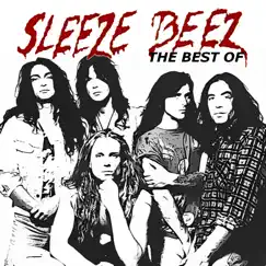 The Best of Sleeze Beez by Sleeze Beez album reviews, ratings, credits