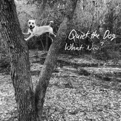 What Now? by Quiet the Dog album reviews, ratings, credits