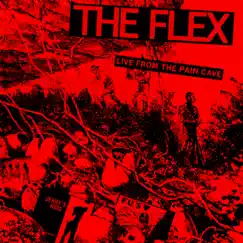 The Flex (Live) Song Lyrics