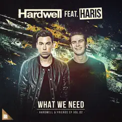 What We Need (feat. Haris) [Extended Mix] Song Lyrics