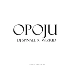 Opoju (feat. Wizkid) - Single by SPINALL album reviews, ratings, credits