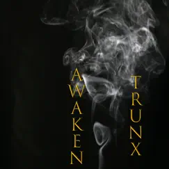Awaken - Single by Trunx album reviews, ratings, credits
