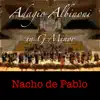 Adagio Albinoni - Single album lyrics, reviews, download