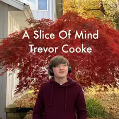 A Slice of Mind - EP by Trevor Cooke album reviews, ratings, credits