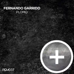 Plomo - Single by Fernando Garrido album reviews, ratings, credits