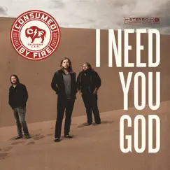 I Need You God - Single by Consumed by Fire album reviews, ratings, credits
