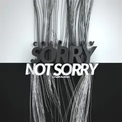 Sorry Not Sorry (Acoustic Chillout Version) Song Lyrics