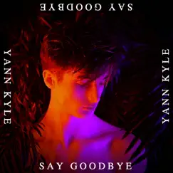 Say Goodbye Song Lyrics