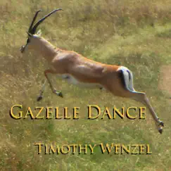Gazelle Dance (feat. Jill Haley & Jeff Haynes) - Single by Timothy Wenzel album reviews, ratings, credits